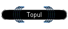 Topul